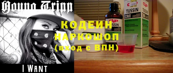 герыч Алексин